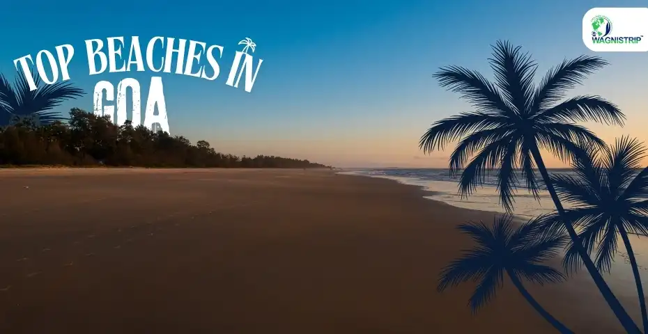 Top Beaches in Goa for Unforgettable Nightlife