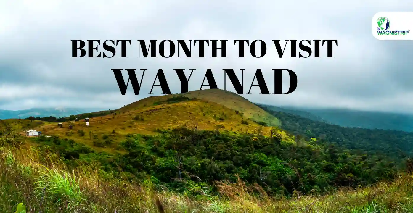 Best Month to Visit Wayanad for Scenic Beauty & Adventure