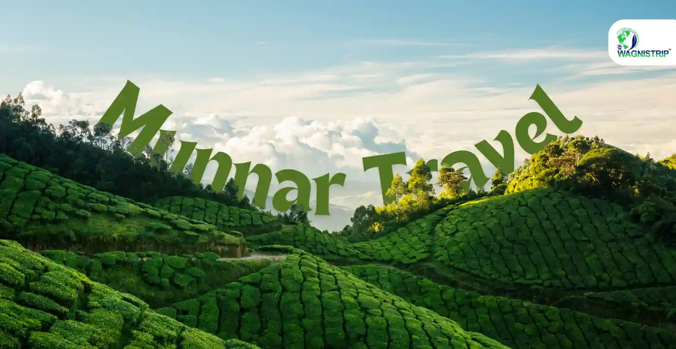 Munnar Travel Guide: Must‑Visit Attractions for a Memorable Trip