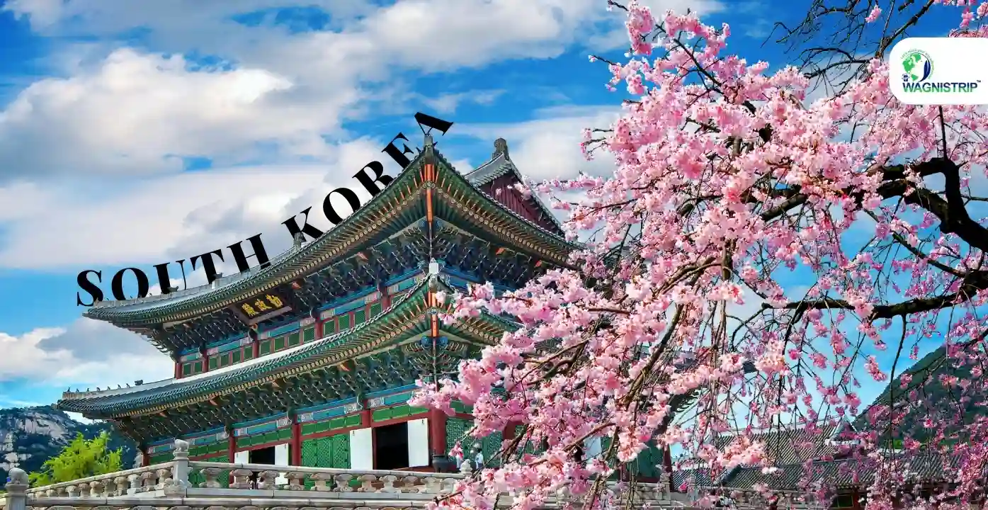 Explore South Korea: 5 Best Places for First-Time Travelers