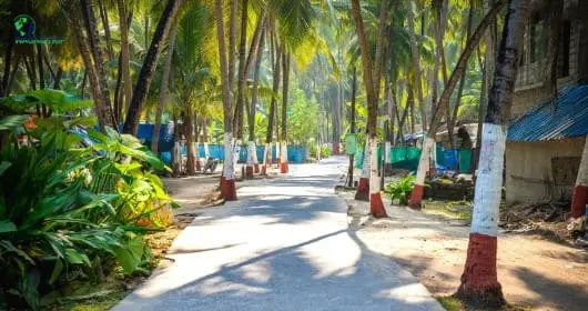  best season to visit Lakshadweep
