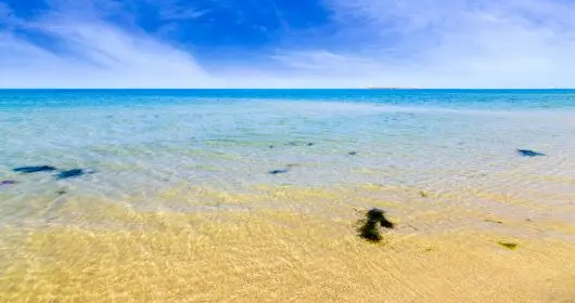 place to travel in Mandvi Beach 